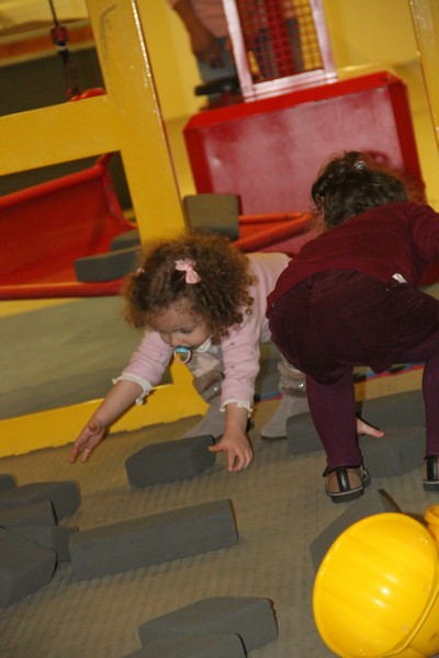 Bees Mystery at Beirut Souks